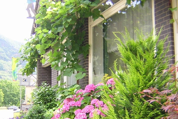 Zur Winzergenossenschaft Hotel-Pension